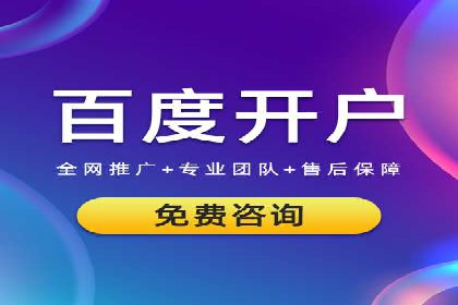 竞价托管服务对比：不同平台的优劣分析